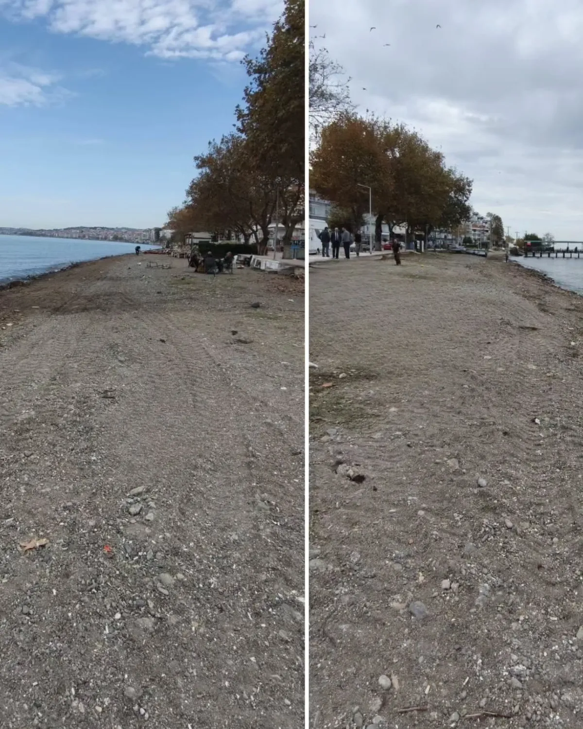 Çınarcık'ta dalgalarla kıyıya vuran yosun ve ağaç kalıntılarını temizlemek için harekete geçen belediye ekipleri, iş makineleri ve personelle Karpuzdere sahilinde sahaya çıktı. - Fotoğraf 5