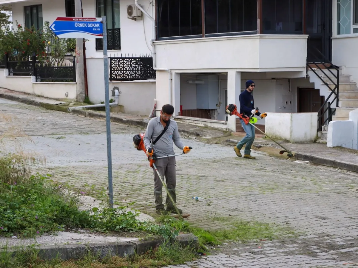 Yalova Belediyesi ekipleri, kentin dört bir yanında yürütülen çalışmalar kapsamında Kazım Karabekir Mahallesi'nde sokakları süpürdü, yabani otları biçti ve konteyner çevrelerindeki büyük hacimli atıkları topladı. - Fotoğraf 8