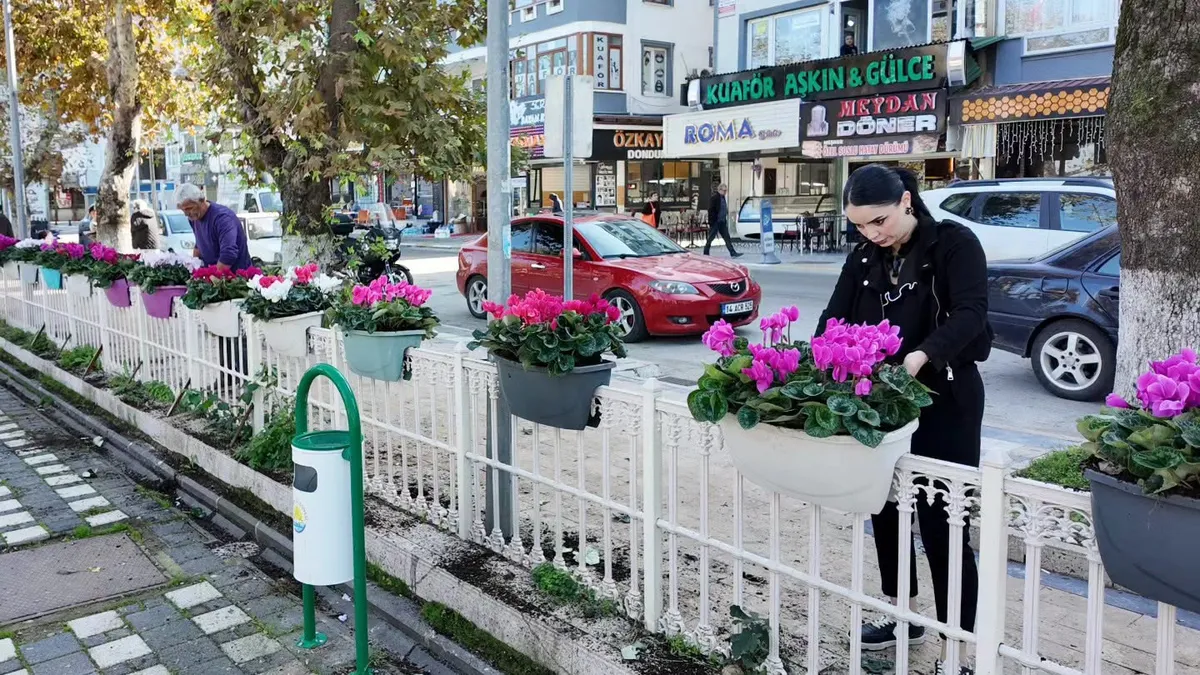 Çınarcık Cumhuriyet Meydanı'ndaki Turgut Özal Parkı'nda belediye ekipleri tarafından mevsimlik çiçek dikimi yapıldı; alana dört farklı renkte siklamen yerleştirildi. - Fotoğraf 5