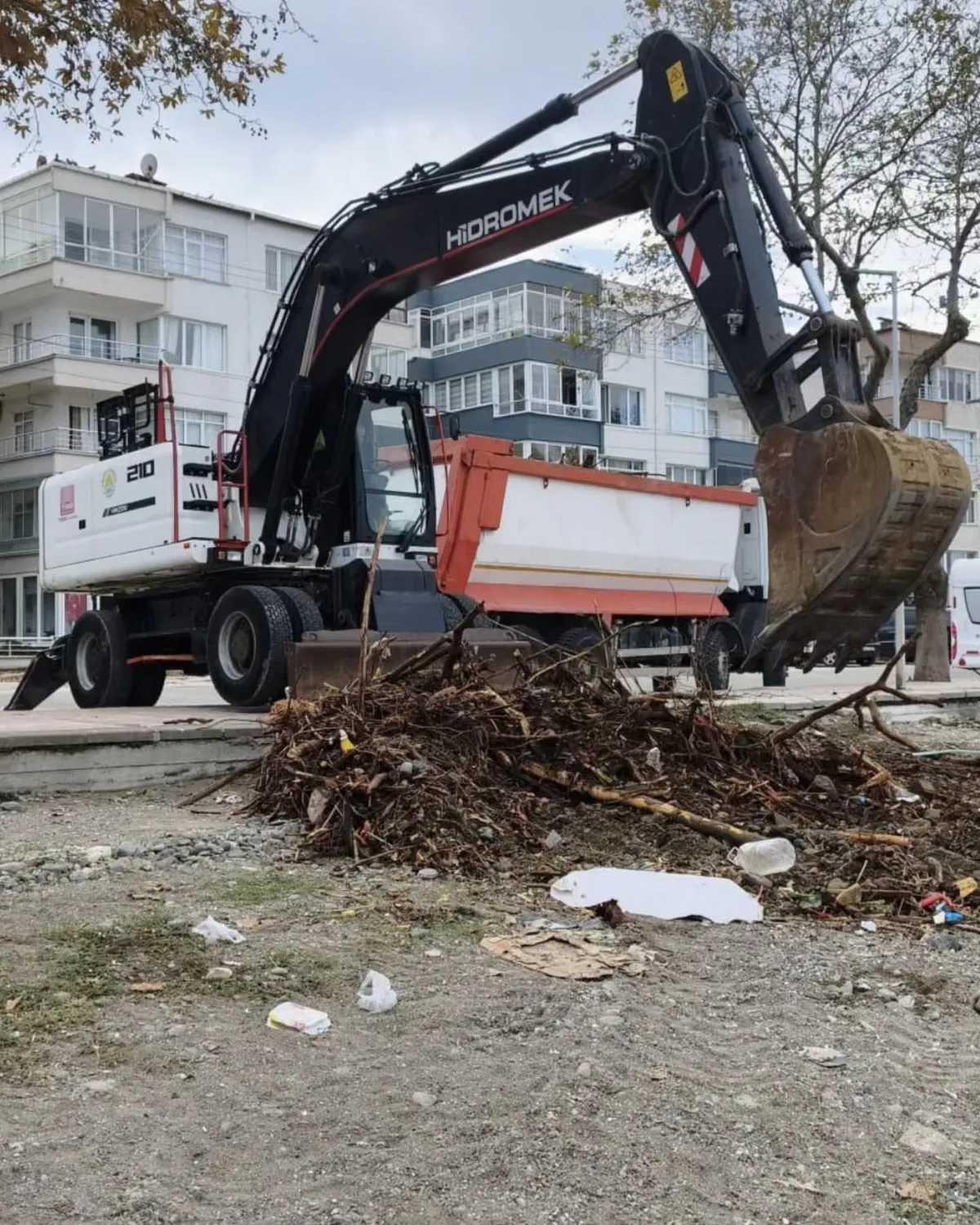 Çınarcık'ta dalgalarla kıyıya vuran yosun ve ağaç kalıntılarını temizlemek için harekete geçen belediye ekipleri, iş makineleri ve personelle Karpuzdere sahilinde sahaya çıktı. - Fotoğraf 1