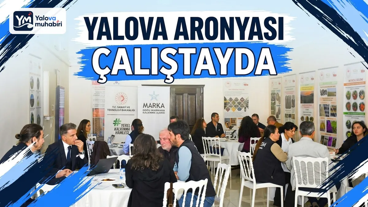 Doğu Marmara Kalkınma Ajansı, Yalova'nın öne çıkan tarım ürünü aronyanın üretim ve pazarlama süreçlerini ele almak üzere sektör paydaşlarını bir araya getirdi.