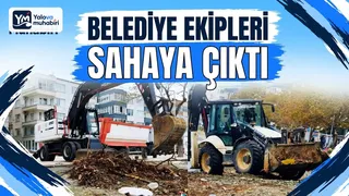 Çınarcık'ta dalgalarla kıyıya vuran yosun ve ağaç kalıntılarını temizlemek için harekete geçen belediye ekipleri, iş makineleri ve personelle Karpuzdere sahilinde sahaya çıktı. - Küçük görsel 1