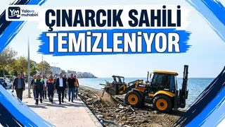Çınarcık Belediyesi ekipleri, yağışların ardından Vali Akı Caddesi sahil hattına vuran yosun ve ağaç kalıntılarını toplamak için çalışma başlattı. - Küçük görsel 1