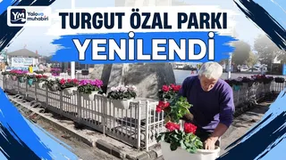Çınarcık Cumhuriyet Meydanı'ndaki Turgut Özal Parkı'nda belediye ekipleri tarafından mevsimlik çiçek dikimi yapıldı; alana dört farklı renkte siklamen yerleştirildi. - Küçük görsel 1