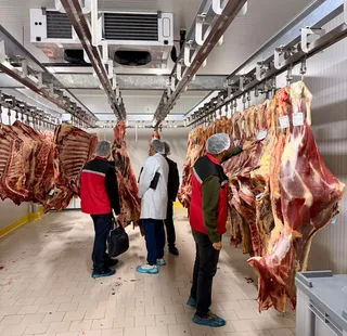 Yalova'da faaliyet gösteren bir et işleme tesisini ziyaret eden gıda kontrol ekipleri, işletmenin faaliyetlerini yerinde inceleyerek mevzuat şartları ve gerekli iyileştirmeler konusunda bilgilendirmede bulundu. - Küçük görsel 4