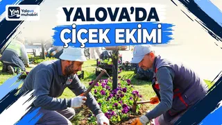 Yalova Belediyesi, kent meydanı ve ana arterlerde kentin dört bir yanını renklendirmek amacıyla mevsimlik çiçek ekimi çalışmalarına devam ediyor. - Küçük görsel 1