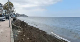 Çınarcık Belediyesi ekipleri, yağışların ardından Vali Akı Caddesi sahil hattına vuran yosun ve ağaç kalıntılarını toplamak için çalışma başlattı. - Küçük görsel 2