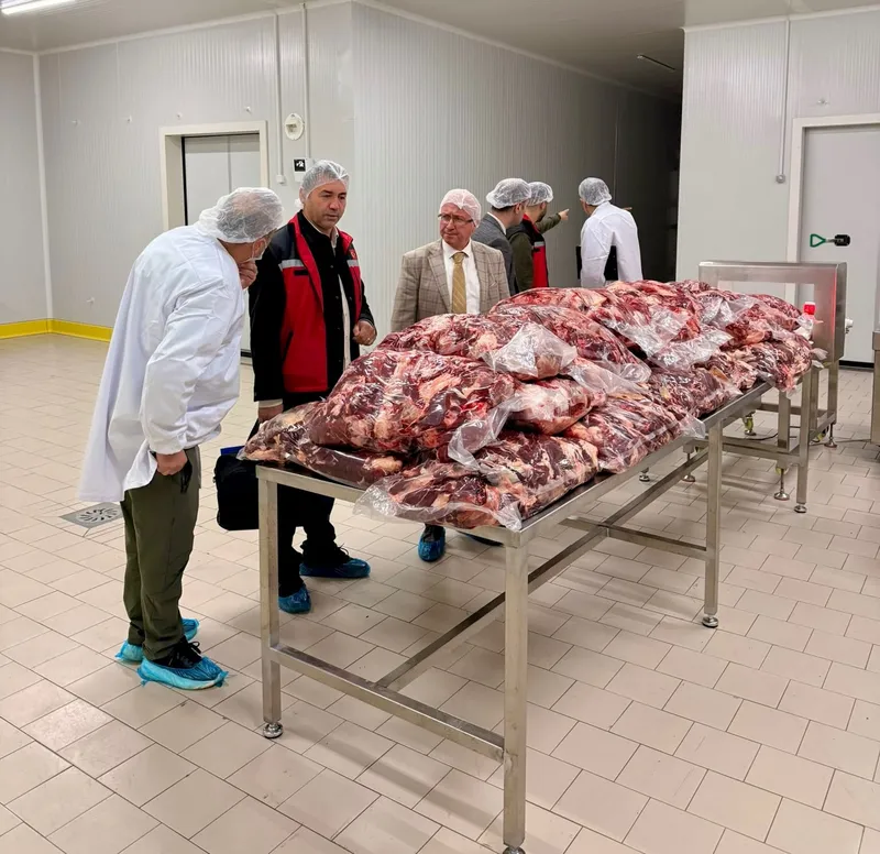 Yalova'da faaliyet gösteren bir et işleme tesisini ziyaret eden gıda kontrol ekipleri, işletmenin faaliyetlerini yerinde inceleyerek mevzuat şartları ve gerekli iyileştirmeler konusunda bilgilendirmede bulundu. - Fotoğraf 2