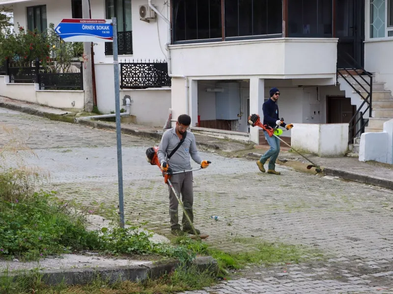Yalova Belediyesi ekipleri, kentin dört bir yanında yürütülen çalışmalar kapsamında Kazım Karabekir Mahallesi'nde sokakları süpürdü, yabani otları biçti ve konteyner çevrelerindeki büyük hacimli atıkları topladı. - Fotoğraf 8