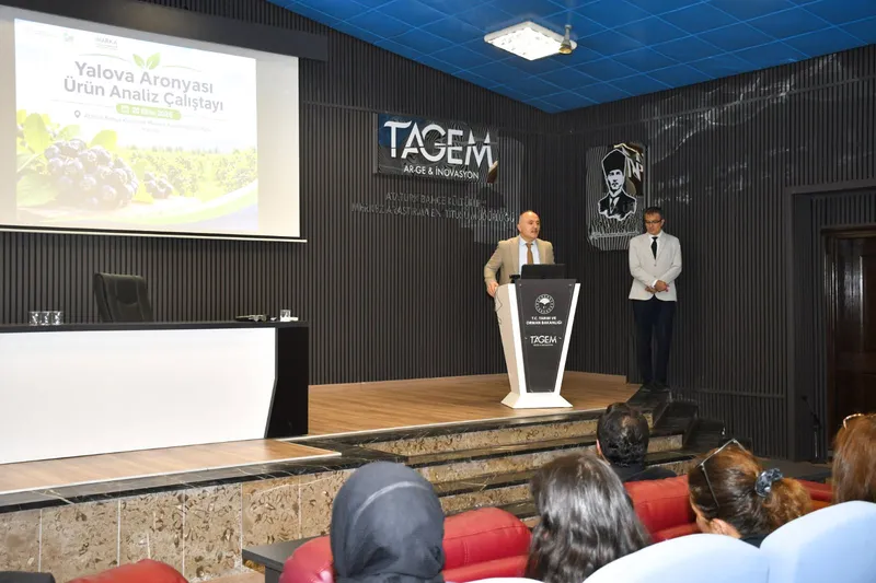 Doğu Marmara Kalkınma Ajansı, Yalova'nın öne çıkan tarım ürünü aronyanın üretim ve pazarlama süreçlerini ele almak üzere sektör paydaşlarını bir araya getirdi. - Fotoğraf 3